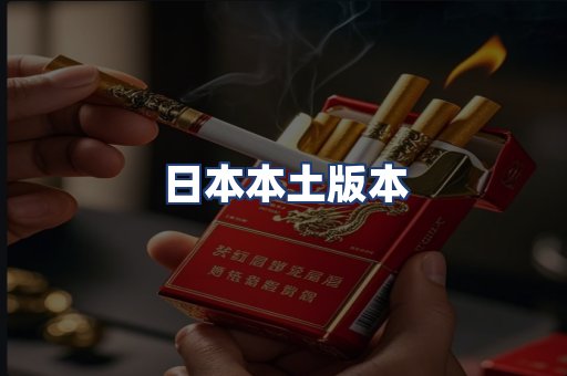 日本本土版本